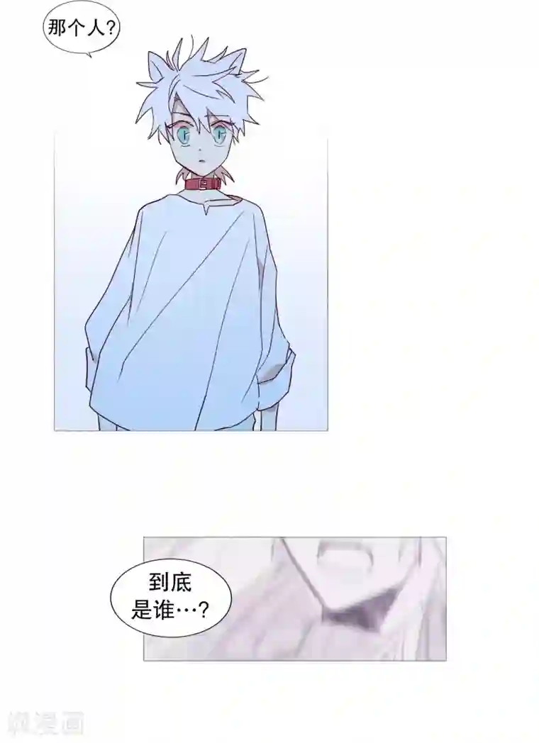 动物灵魂管理局第57话 共同点