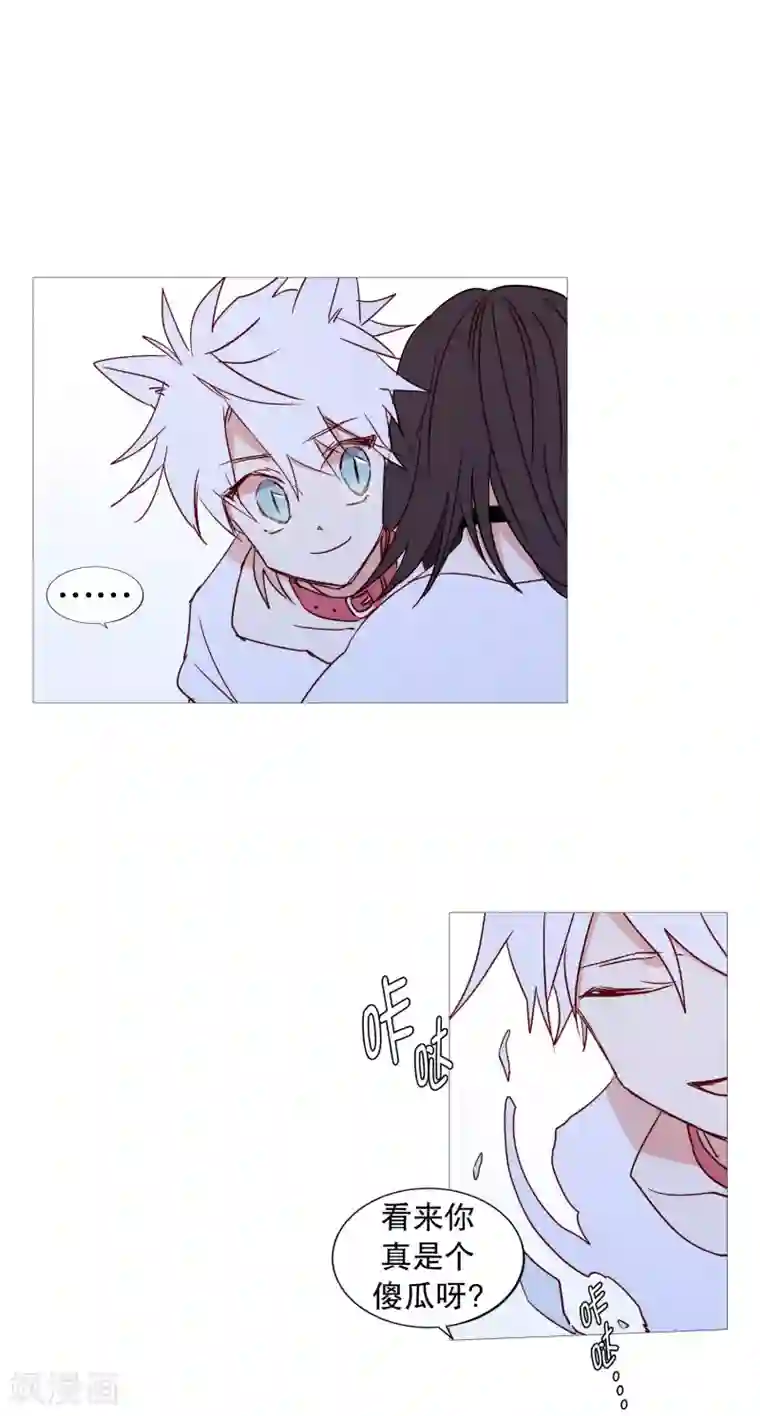 动物灵魂管理局第57话 共同点