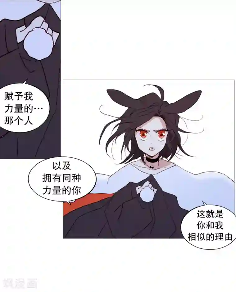 动物灵魂管理局第57话 共同点