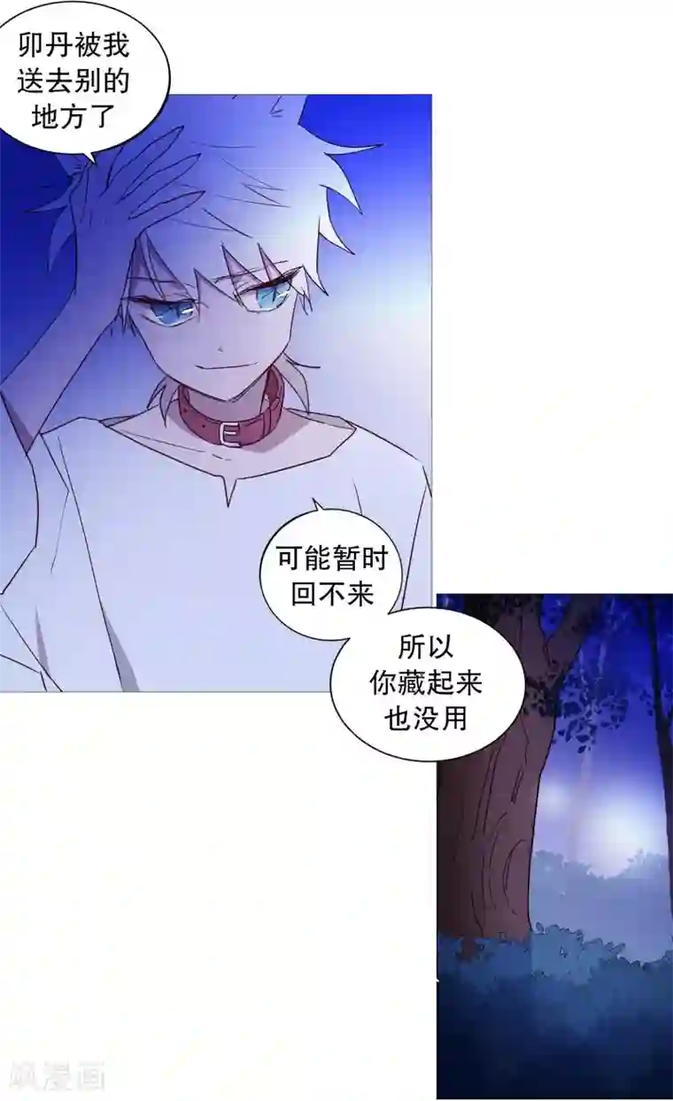 动物灵魂管理局第58话 白犬的内心世界1