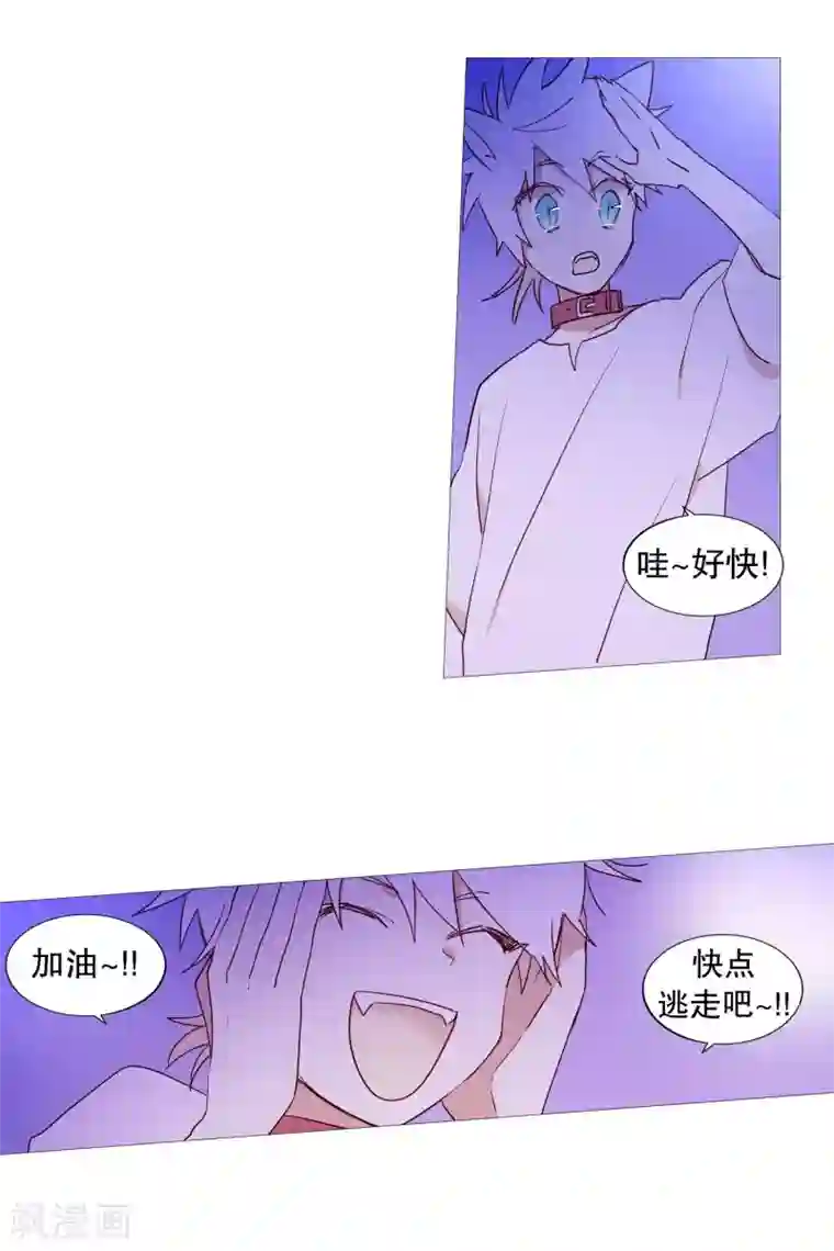 动物灵魂管理局第59话 白犬的内心世界2