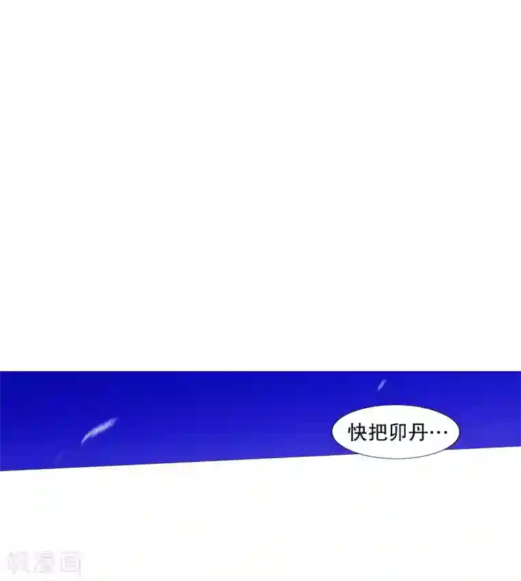 动物灵魂管理局第61话 存在的意义