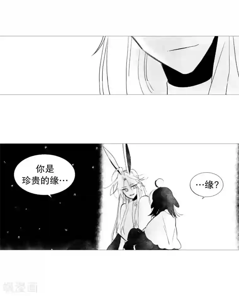 动物灵魂管理局第61话 存在的意义