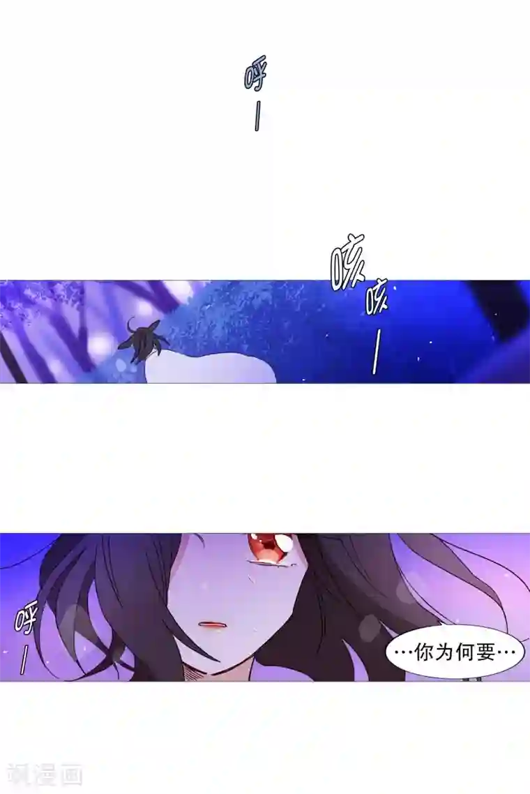 动物灵魂管理局第62话 紫灵出现