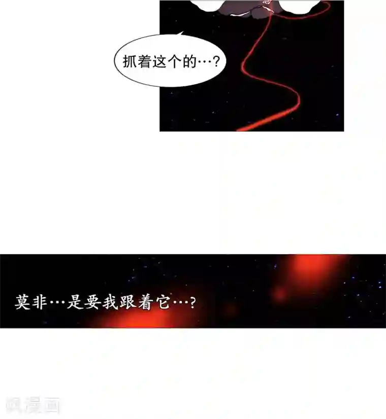 动物灵魂管理局第62话 紫灵出现