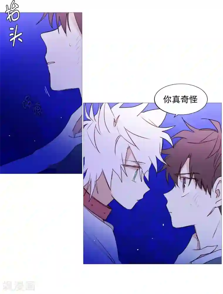 动物灵魂管理局第62话 紫灵出现