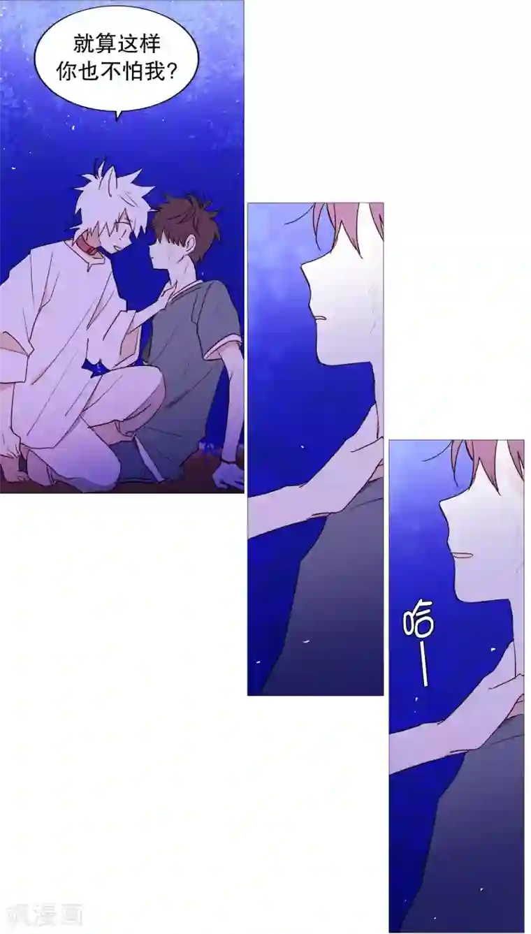 动物灵魂管理局第62话 紫灵出现
