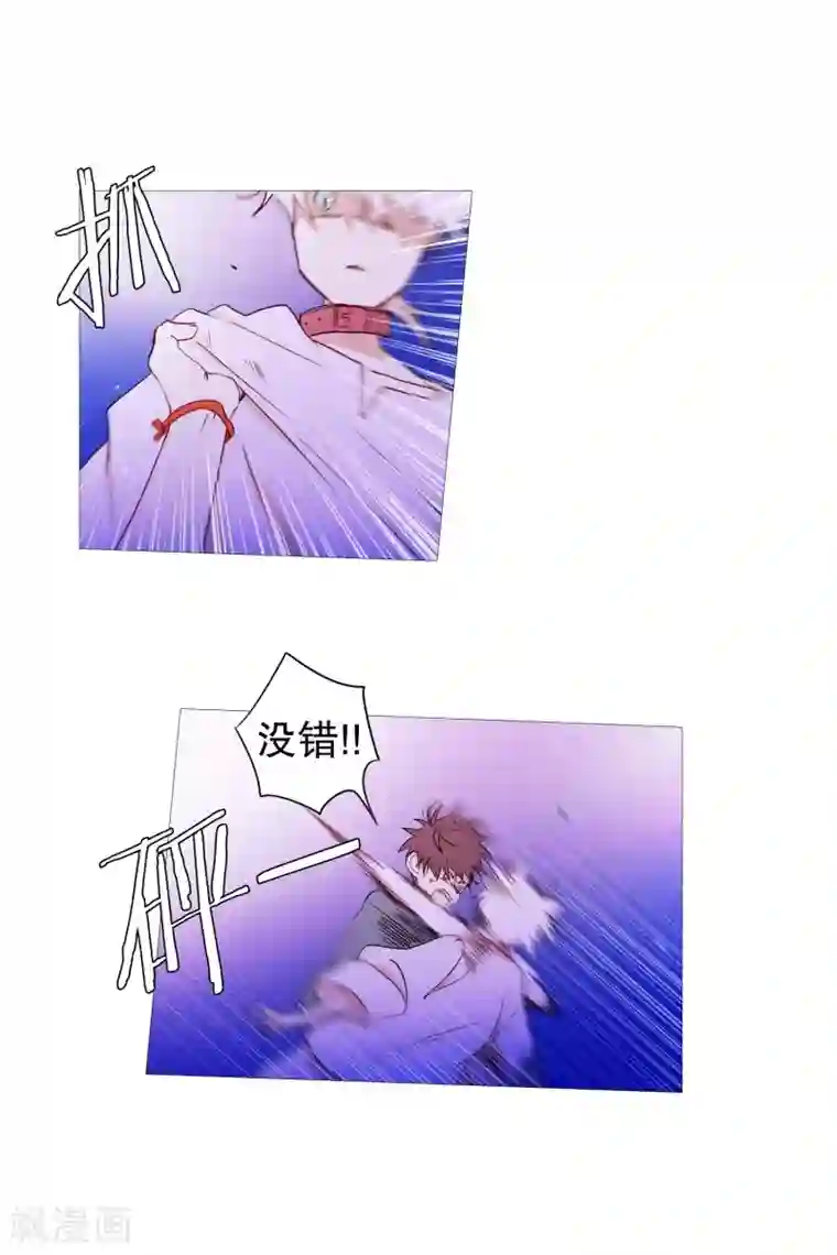 动物灵魂管理局第62话 紫灵出现