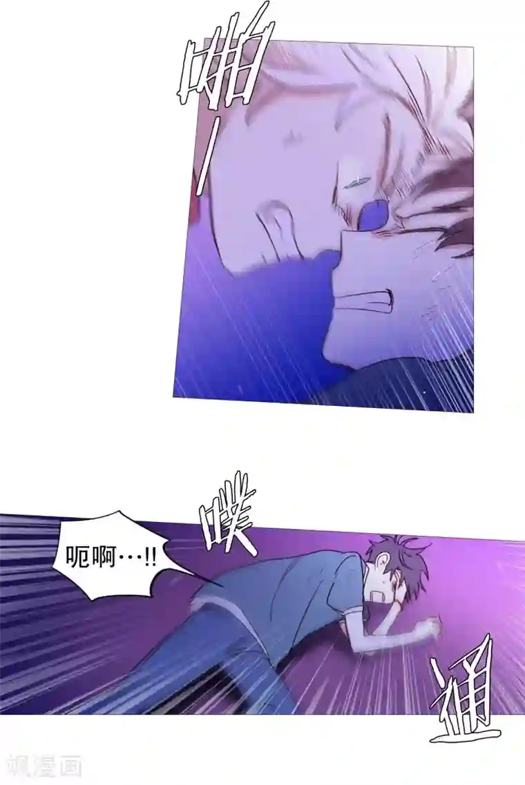 动物灵魂管理局第62话 紫灵出现