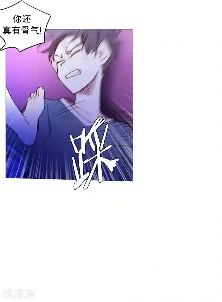 动物灵魂管理局第62话 紫灵出现