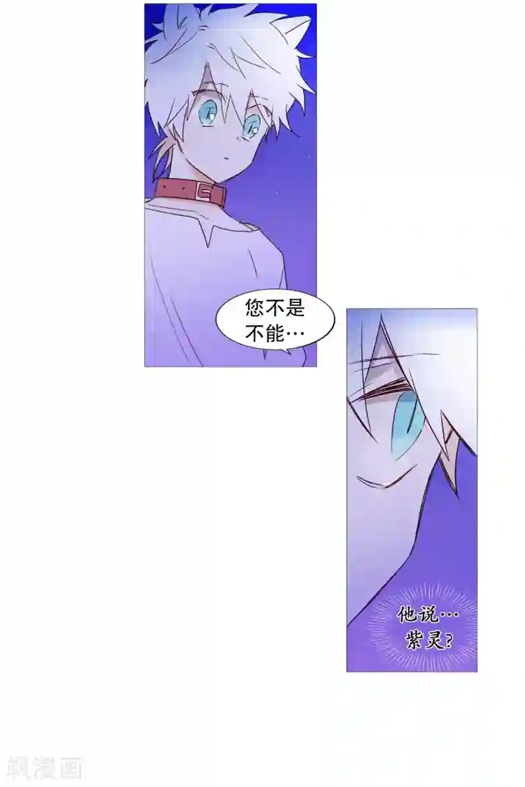 动物灵魂管理局第63话 彼此的问候