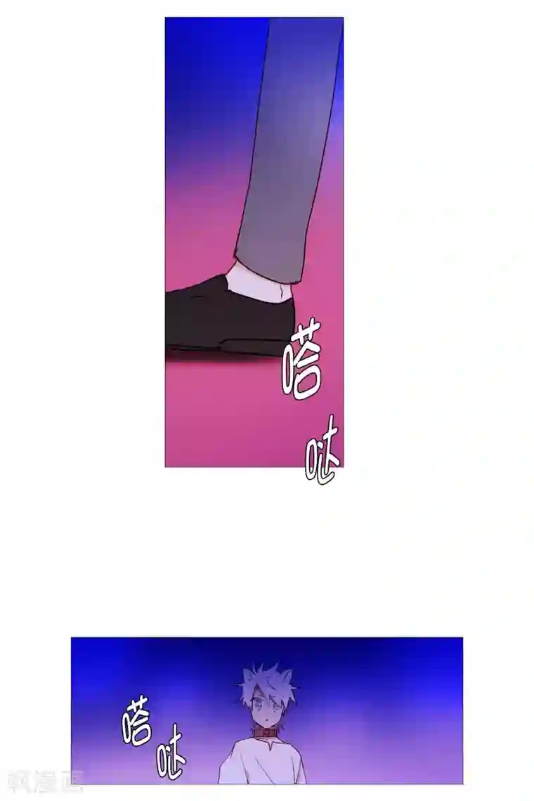 动物灵魂管理局第63话 彼此的问候