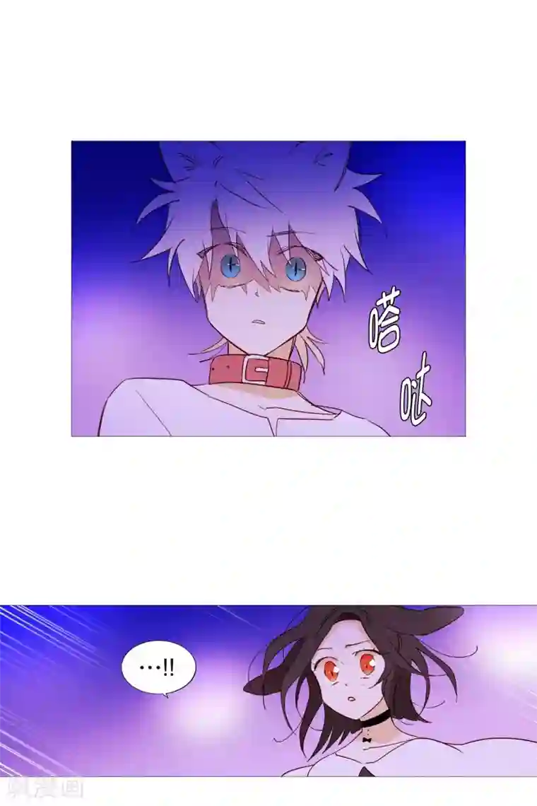 动物灵魂管理局第63话 彼此的问候