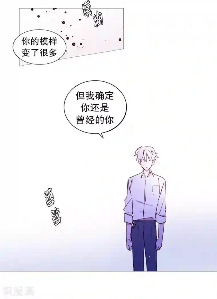 动物灵魂管理局第64话 曾经的白犬