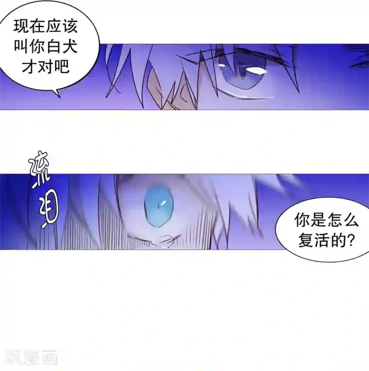 动物灵魂管理局第64话 曾经的白犬