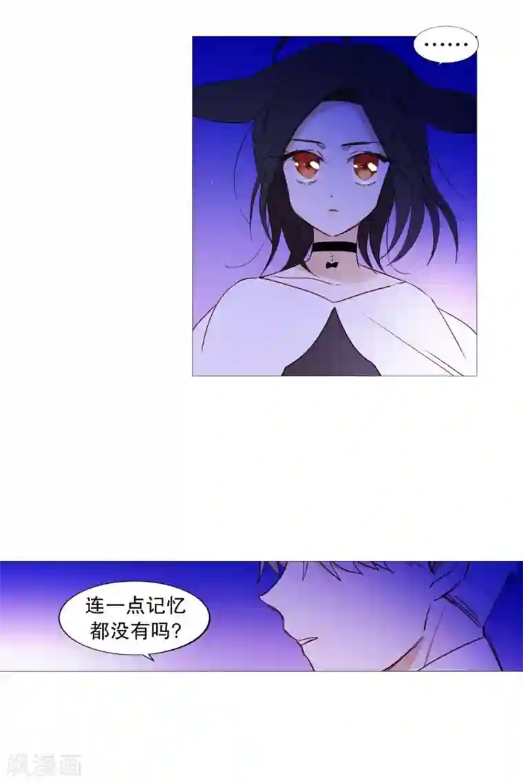 动物灵魂管理局第64话 曾经的白犬