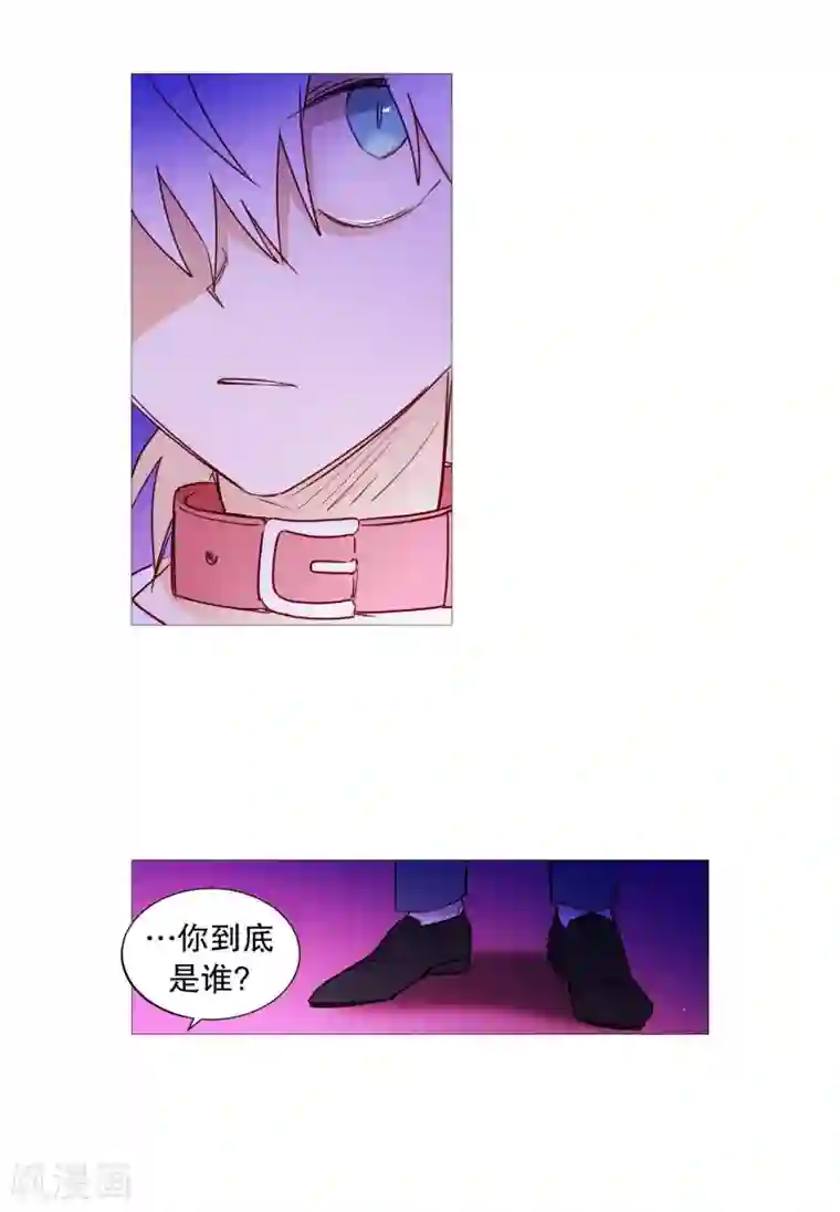 动物灵魂管理局第64话 曾经的白犬