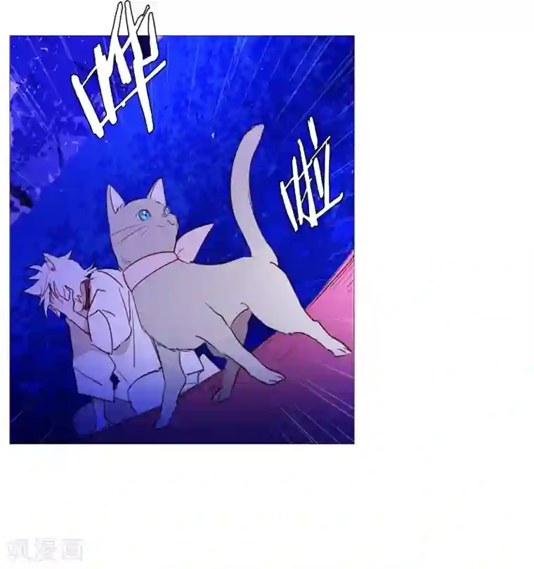 动物灵魂管理局第65话 猫灵