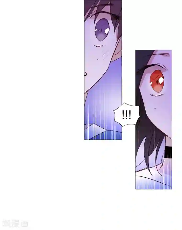 动物灵魂管理局第65话 猫灵