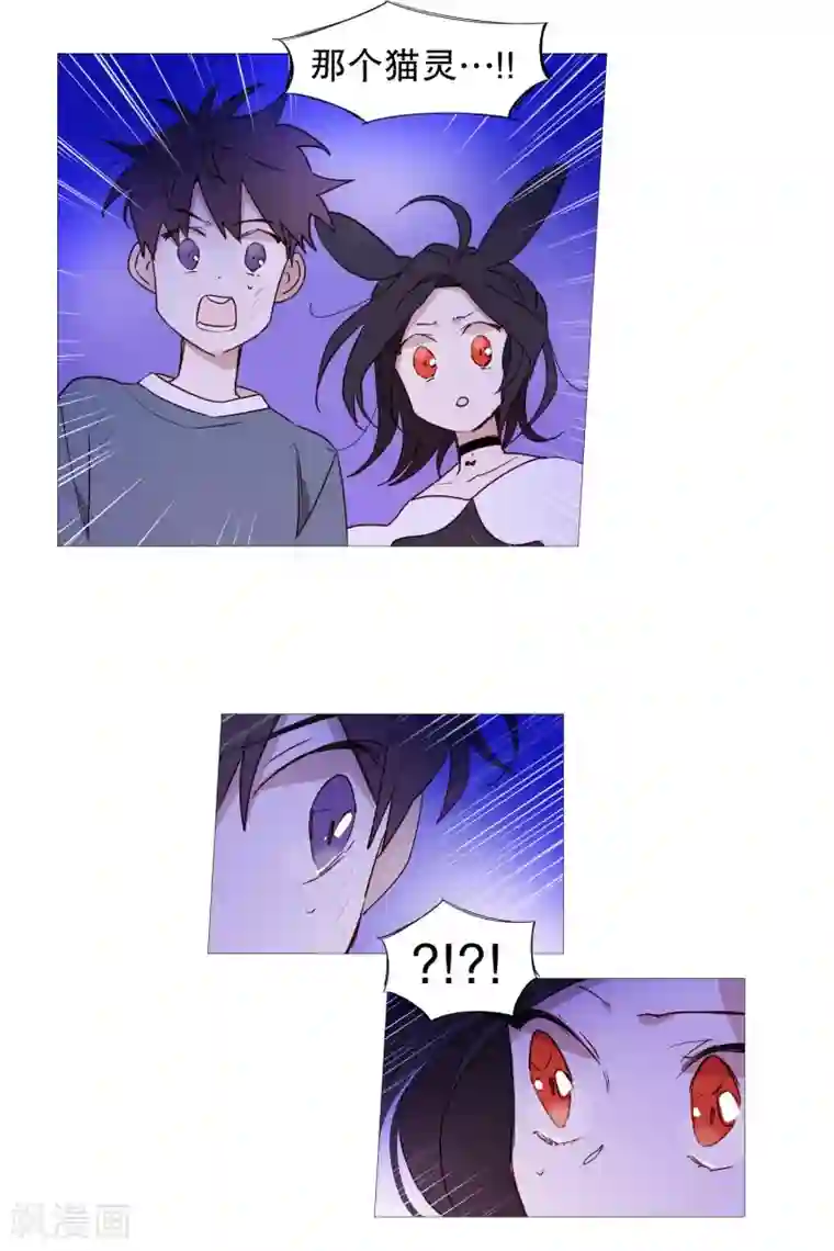 动物灵魂管理局第65话 猫灵
