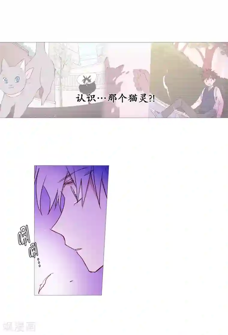 动物灵魂管理局第65话 猫灵
