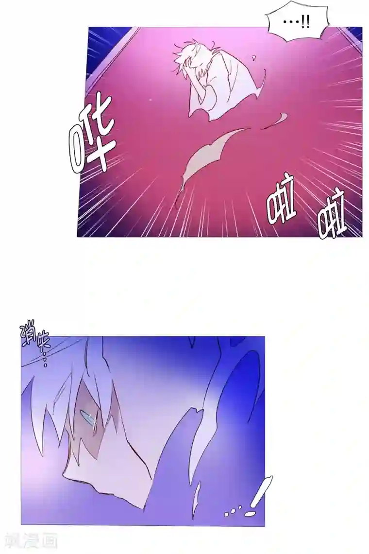 动物灵魂管理局第65话 猫灵