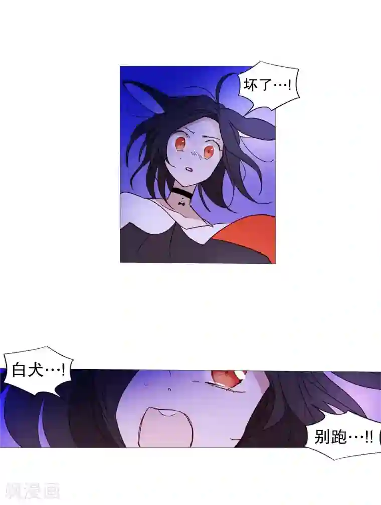 动物灵魂管理局第65话 猫灵