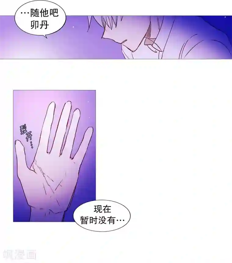 动物灵魂管理局第65话 猫灵