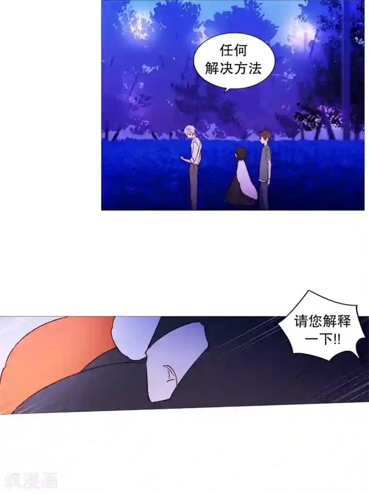 动物灵魂管理局第65话 猫灵