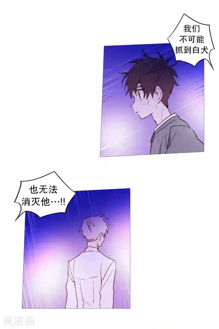 动物灵魂管理局第65话 猫灵
