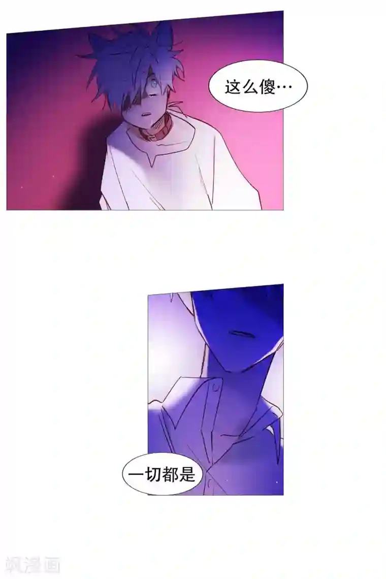 动物灵魂管理局第65话 猫灵