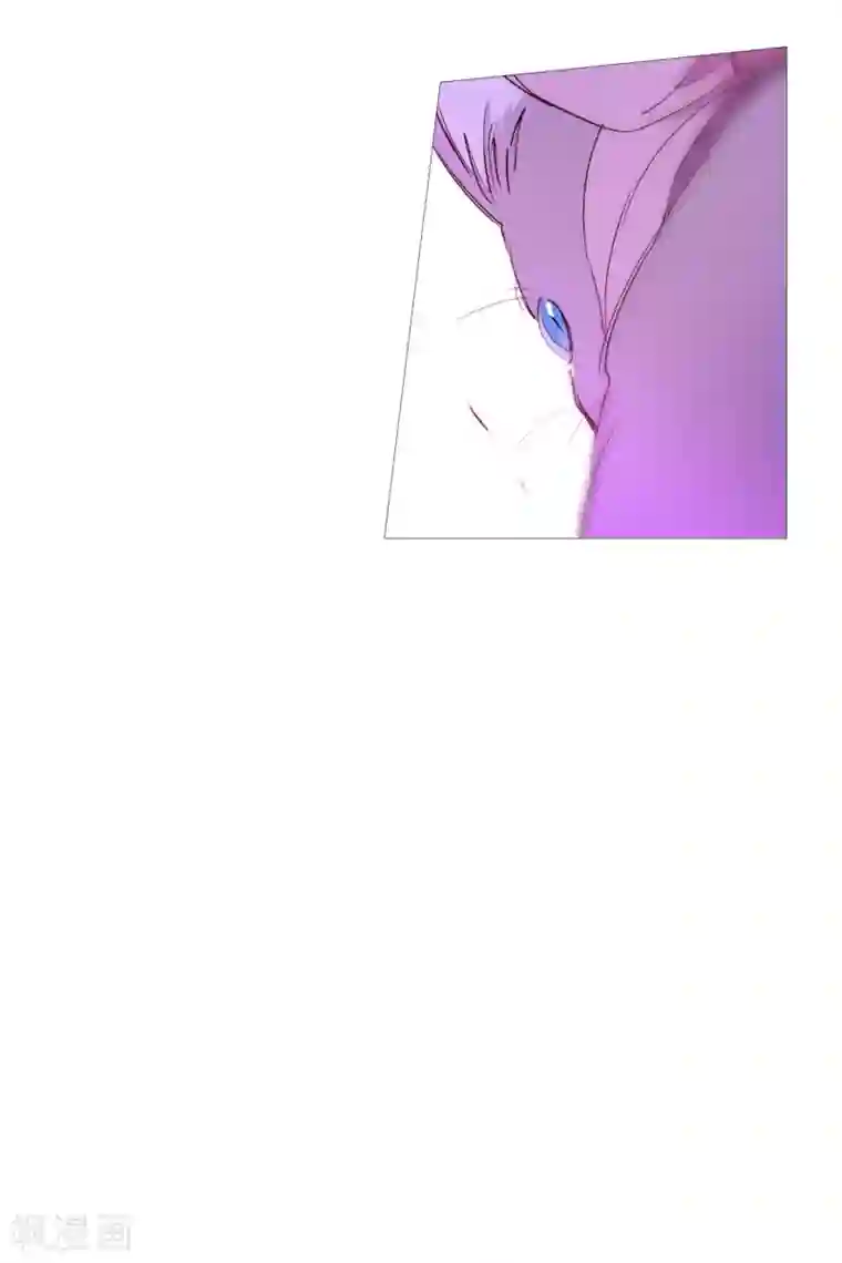 动物灵魂管理局第65话 猫灵