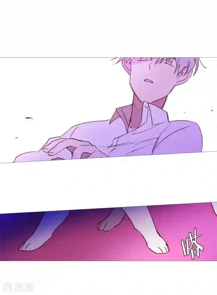 动物灵魂管理局第65话 猫灵