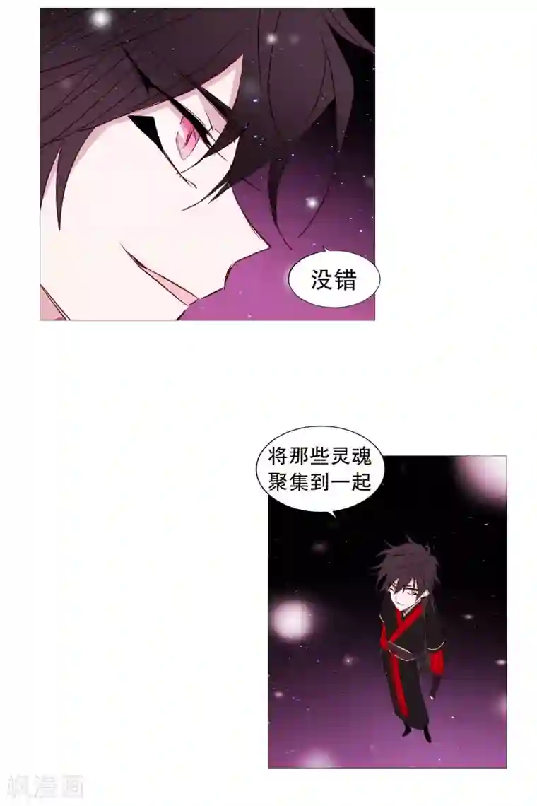 动物灵魂管理局第67话 新世界
