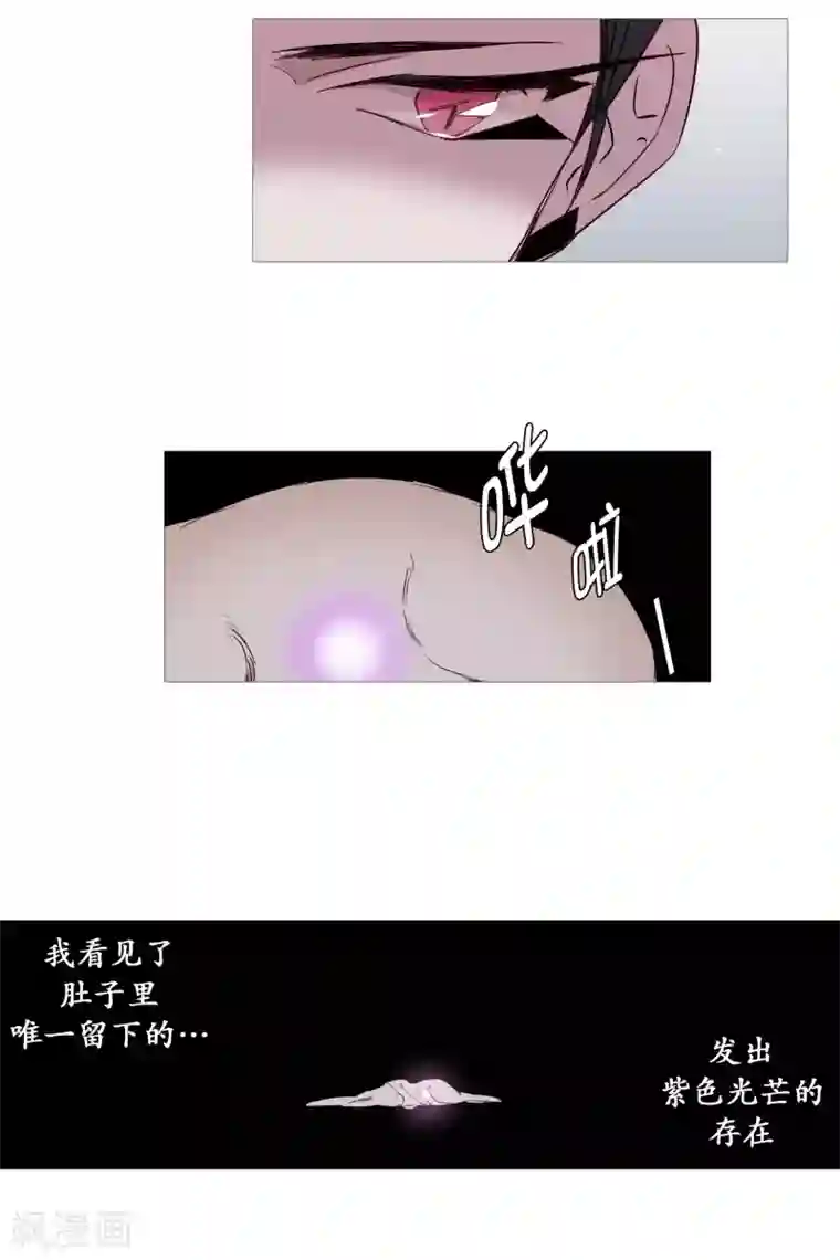 动物灵魂管理局第68话 冬之夜的王