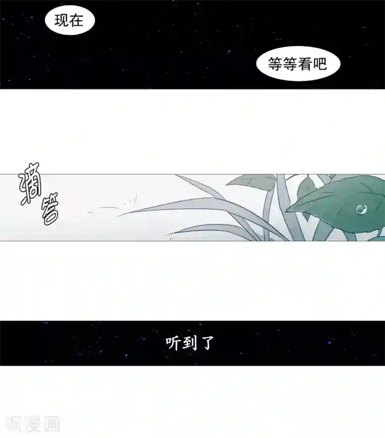 动物灵魂管理局第68话 冬之夜的王