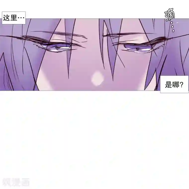 动物灵魂管理局第68话 冬之夜的王