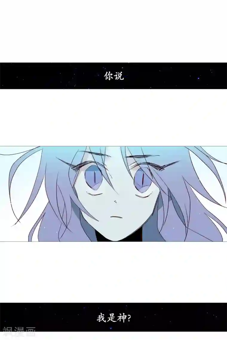 动物灵魂管理局第69话 诞生的瞬间