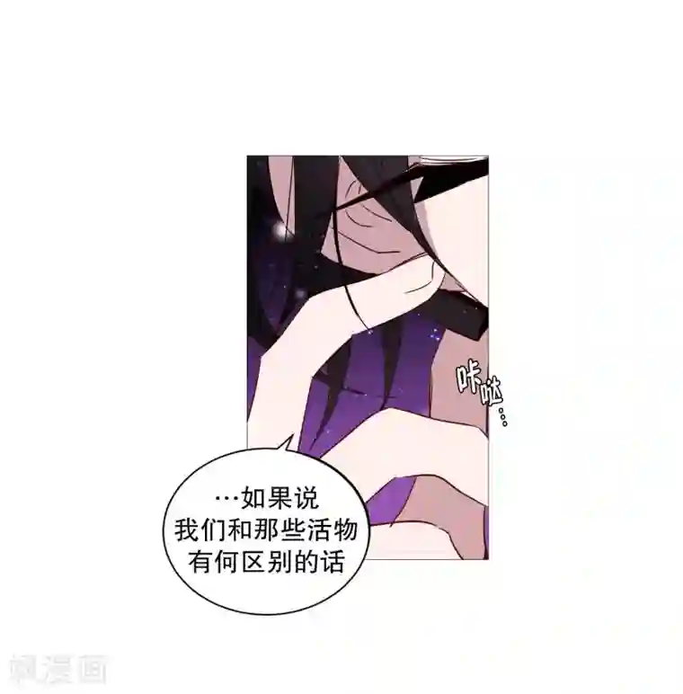 动物灵魂管理局第69话 诞生的瞬间