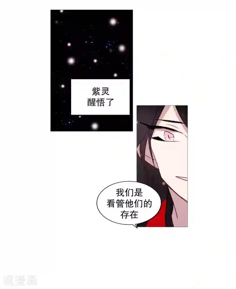 动物灵魂管理局第69话 诞生的瞬间
