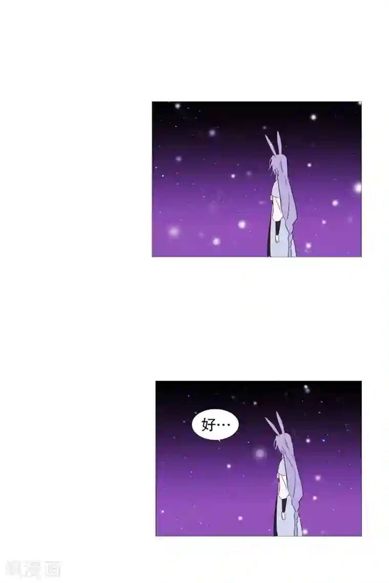 动物灵魂管理局第69话 诞生的瞬间