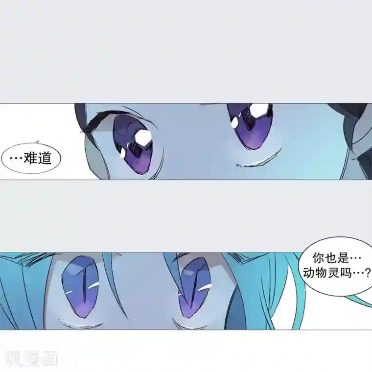 动物灵魂管理局第70话 霖雨1