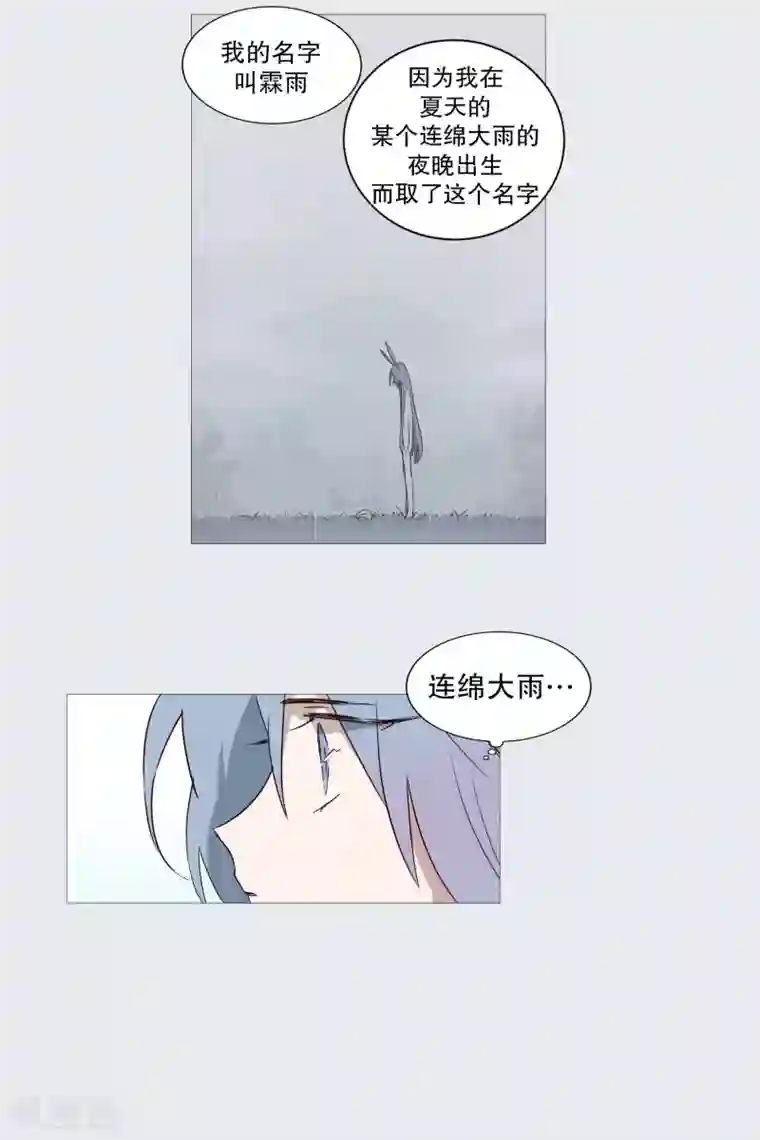 动物灵魂管理局第71话 霖雨2