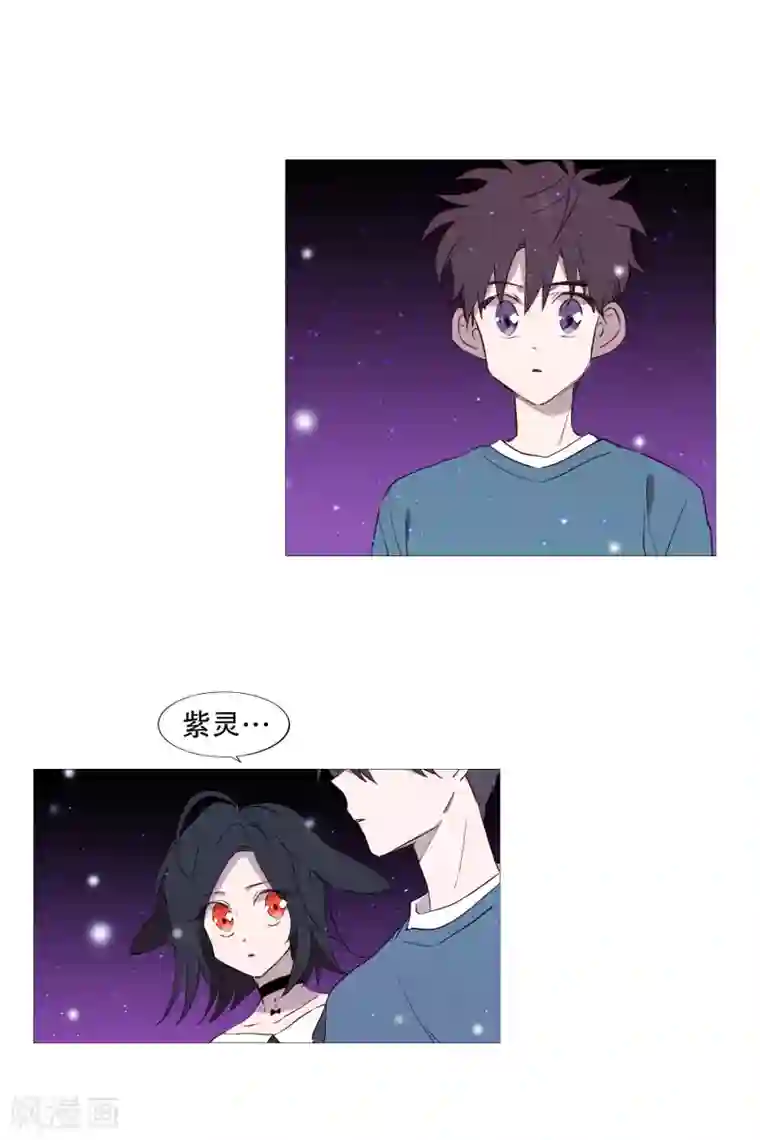 动物灵魂管理局第73话 消灭