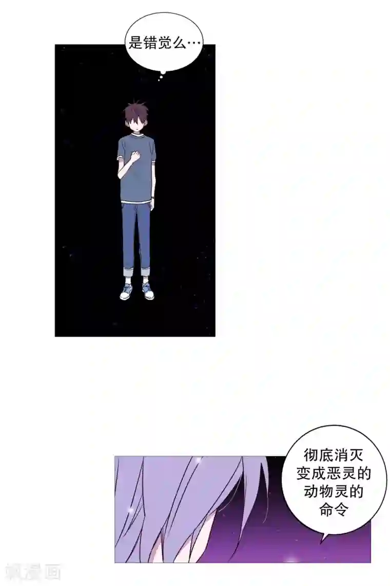 动物灵魂管理局第73话 消灭