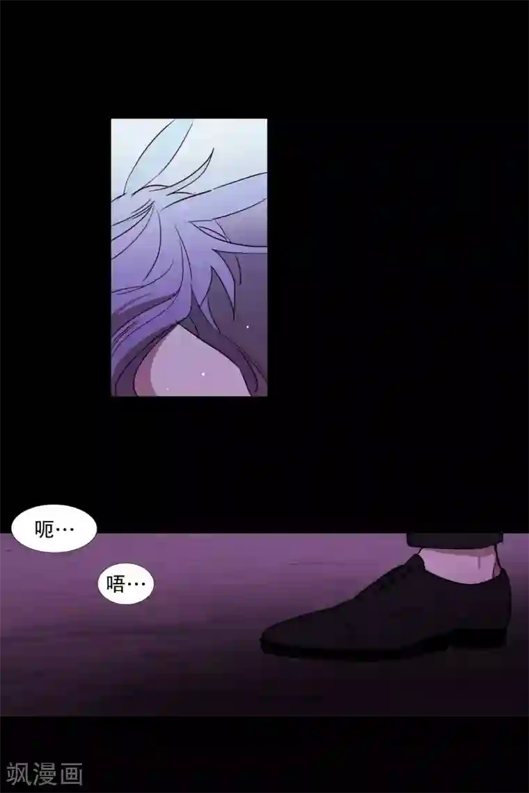 动物灵魂管理局第78话 诅咒