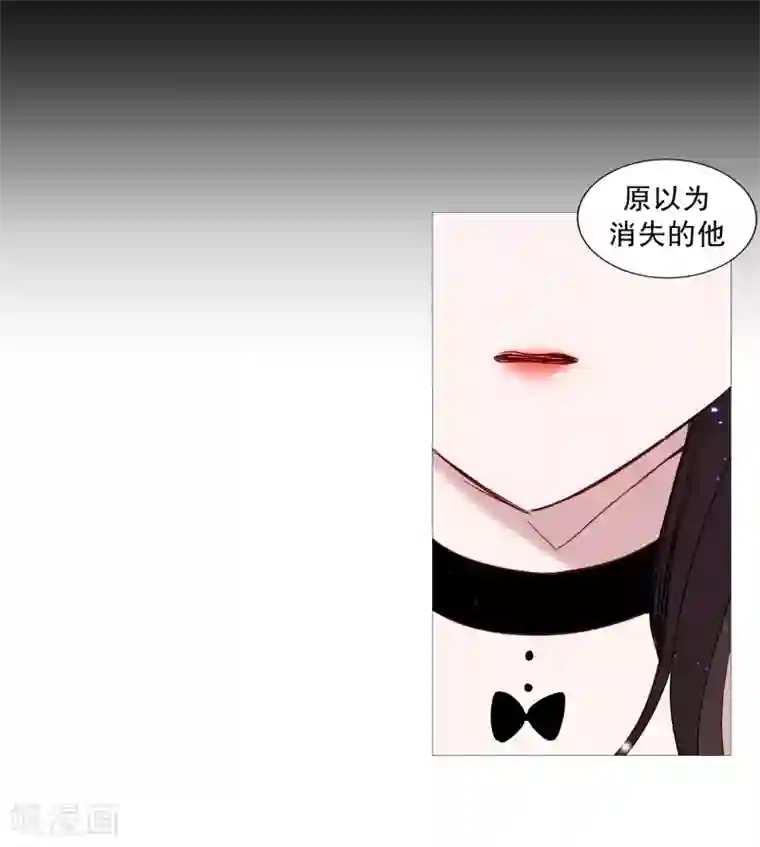 动物灵魂管理局第78话 诅咒