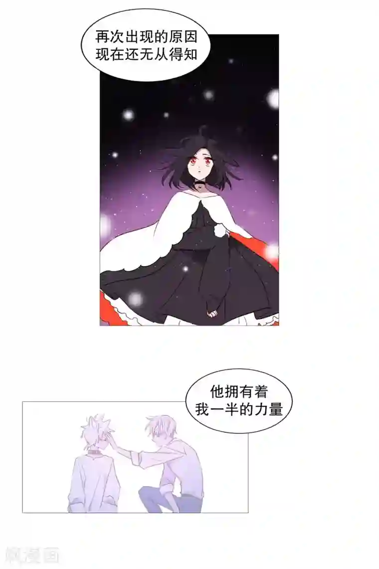 动物灵魂管理局第78话 诅咒