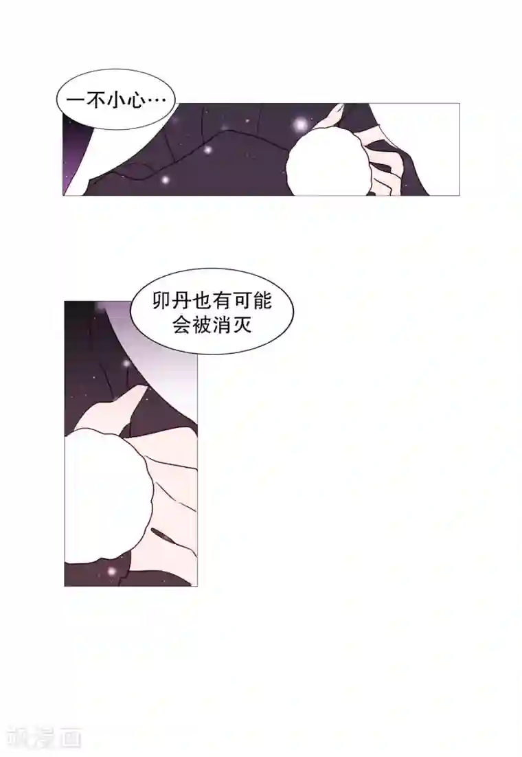 动物灵魂管理局第78话 诅咒