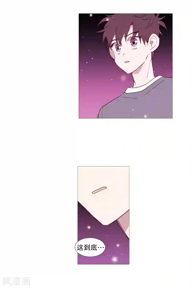 动物灵魂管理局第78话 诅咒